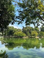 lake in the park