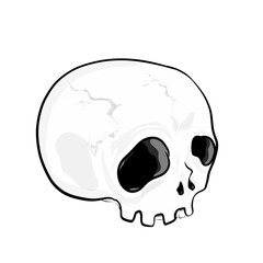 human skull icon without background
