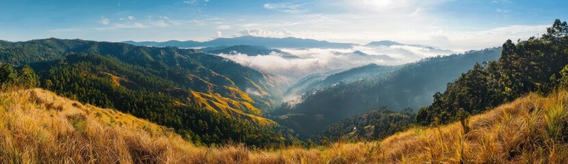 Obraz premium Morning mist over mountain valley with golden grass and forest Generative AI