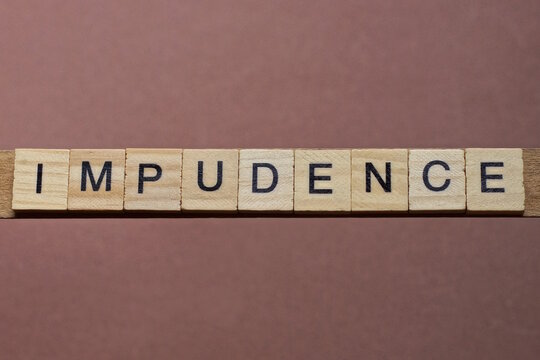 gray word impudence made of wooden square letters on brown background