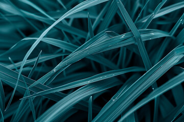 Lush grass blades glisten under sunlight in tranquil natural environment