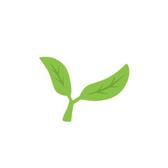 green tea leaf vector icon