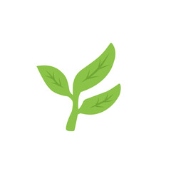 green tea leaf vector icon