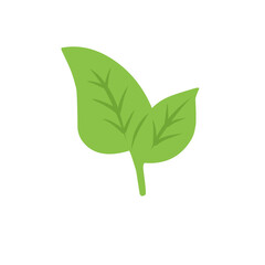 green tea leaf vector icon