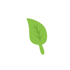 green tea leaf vector icon