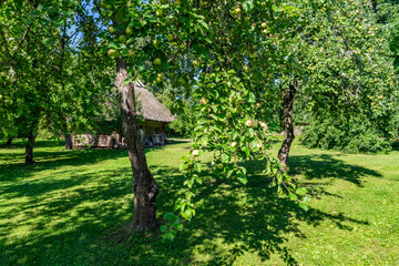 Fototapeta premium Views around the Estonian Island of Saaremaa