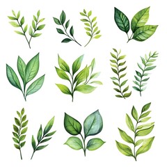 Set of watercolor green leaves elements. Collection botanical vector isolated on white background suitable for Wedding Invitation, save the date, thank you, or greeting card