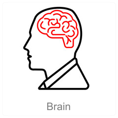 Brain