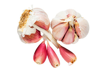 Flying Garlic with leaves isolated on a white background. png