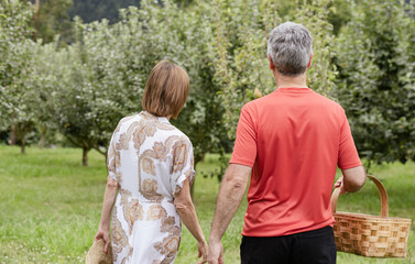 Naklejka premium Middle-aged couple walking to harvest fruit in their garden.