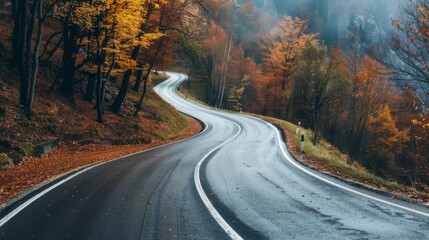 Fototapeta premium A winding autumn road, damp from recent rain, cuts through a forest of vibrant fall foliage, creating a serene and picturesque landscape.