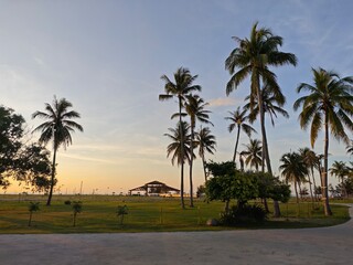 Fototapeta premium palm trees at sunset