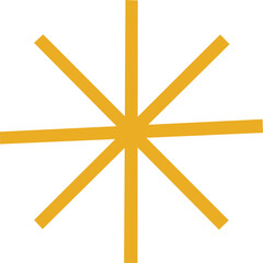 Flash symbol. Shine icon. Flat style.