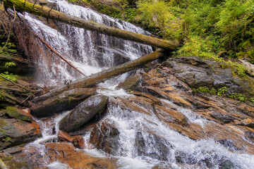 waterfall in the woods, Weisse Sulm Wasserfall, White Sulm Cataract, Styria, Austria, Europe, August 2024