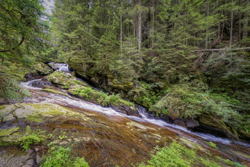 waterfall in the woods, Weisse Sulm Wasserfall, White Sulm Cataract, Styria, Austria, Europe, August 2024