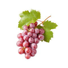 Fototapeta premium Fresh Red Grapes with Green