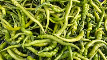 green pepper spicy hot market turkish