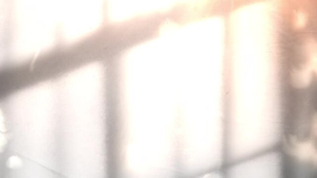 Blind shadow Sunset lights Cinematic Background