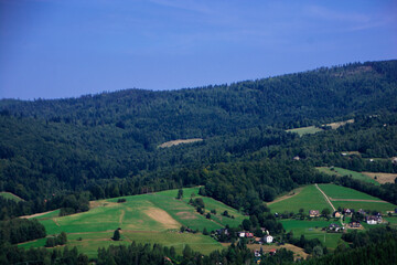 Naklejka premium landscape with mountains