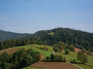 landscape in the mountains