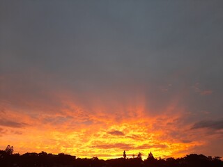 Fototapeta premium sunset in the woods