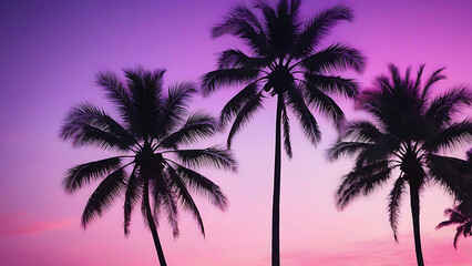 palm silhouette at sunset