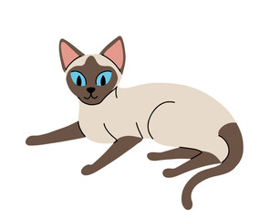 Flat cartoon set of siamese oriental cats in various poses isolated on white background. Vector collection of Cats sitting, standing, resting, playing.