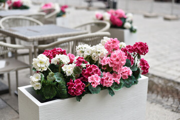 Bright flowers in restaurant decor