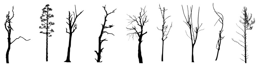 Bare Spooky Tree Silhouette