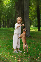 Fototapeta premium a girl walks with a pug dog in the park