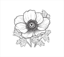Create Anemone flower college element, black botanical clipart line art black and white.