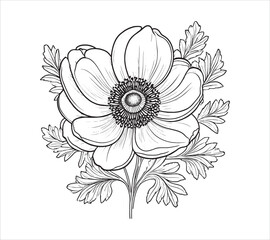 Create Anemone flower college element, black botanical clipart line art black and white.