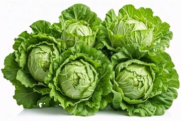 Fresh green cabbages isolated on white background.