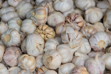 Close-up pile of garlic or herb for cooking healthy food.