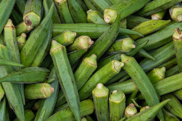 Fresh okra vegetable in market.