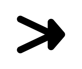 Arrow icon. Vector double black right arrow icon.