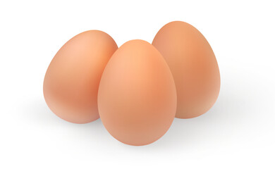 Set of realistic chicken eggs. Vector illustration isolated on white background