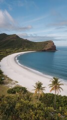 A beautiful beach with palm trees and a blue ocean