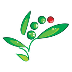 illustration of green olives