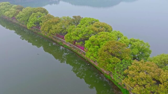 Summer scenery of Wuhan East Lake Scenic Area