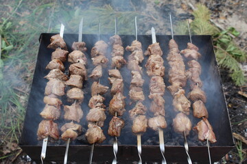 Shish kebab on the grill
