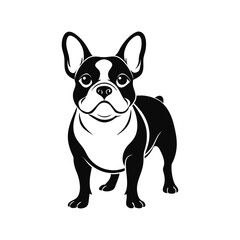 Franch bulldog vector, silhouette, logo design Franch bulldog vector, illustration, black and white 