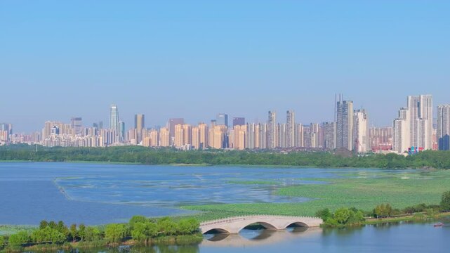 Summer scenery of Wuhan East Lake Scenic Area