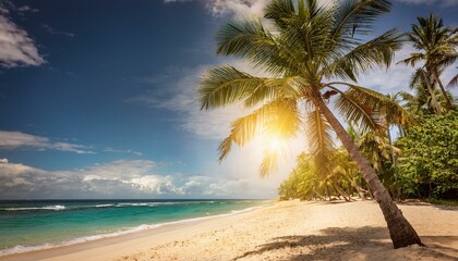 Obraz premium Tropical paradise with palm trees on a sandy beach and clear blue ocean