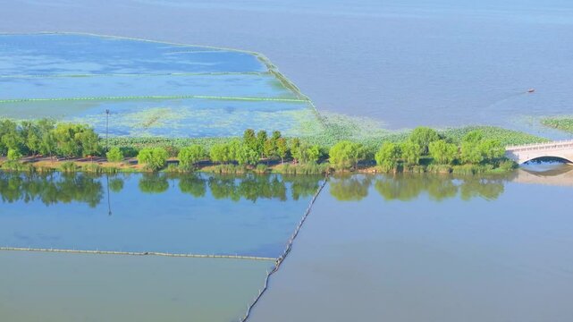 Summer scenery of Wuhan East Lake Scenic Area