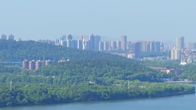 Summer scenery of Wuhan East Lake Scenic Area