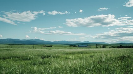 Obraz premium A serene scene featuring a lush green field and distant mountains