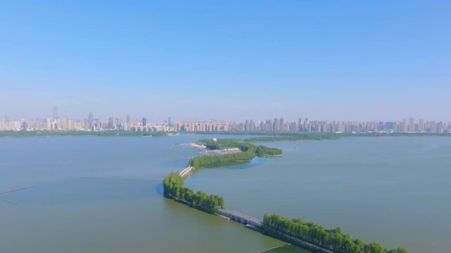 Summer scenery of Wuhan East Lake Scenic Area