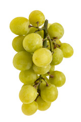 round large green grapes on white background.