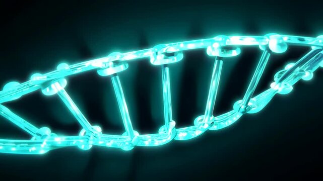 Exploring the structure and function of DNA in cellular biology and genetics
